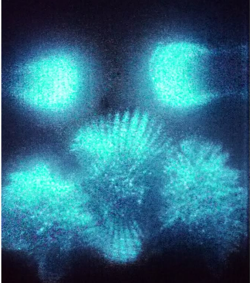 Pauline Isabelle Hégaret, artiste bretonne installée à Brest.
La Sterne - magazine breton.