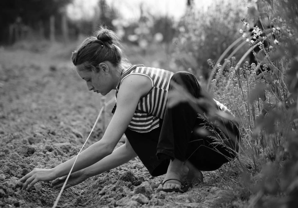 Anais Kerhoas est installée en Bretagne, en Ille-et-Vilaine et cultive les plantes médicinales depuis plus de 10 ans en agriculture biologique.
Les documentaires de Marion Gervais ont permis une belle mise en lumière de son travail.