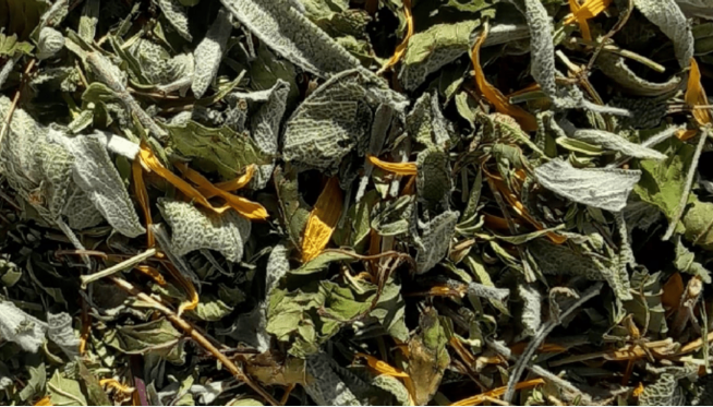 Les tisanes d'Anaïs sont des mélanges réalisés à partir de plantes et d'herbes aromatiques biologiques, qu'Anais Kerhoas cultive à Sains, en Bretagne. Les documentaires de Marion Gervais ont permis une belle mise en lumière de son travail.