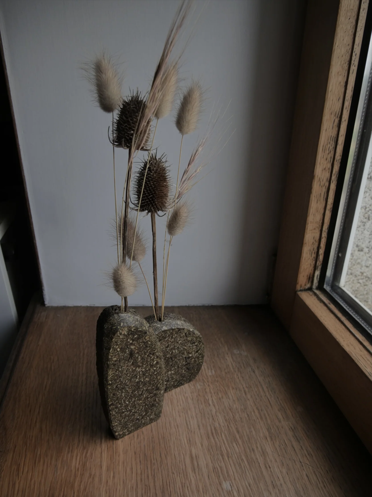 Gwëmon, matériau aggloméré conçu à partir d'algues par Hugo Kerbrat. Coup de cœur de La Sterne magazine.